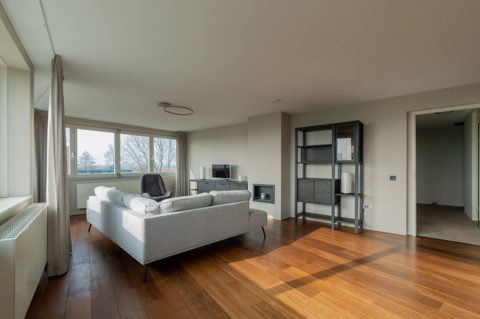 Noord, Amsterdam