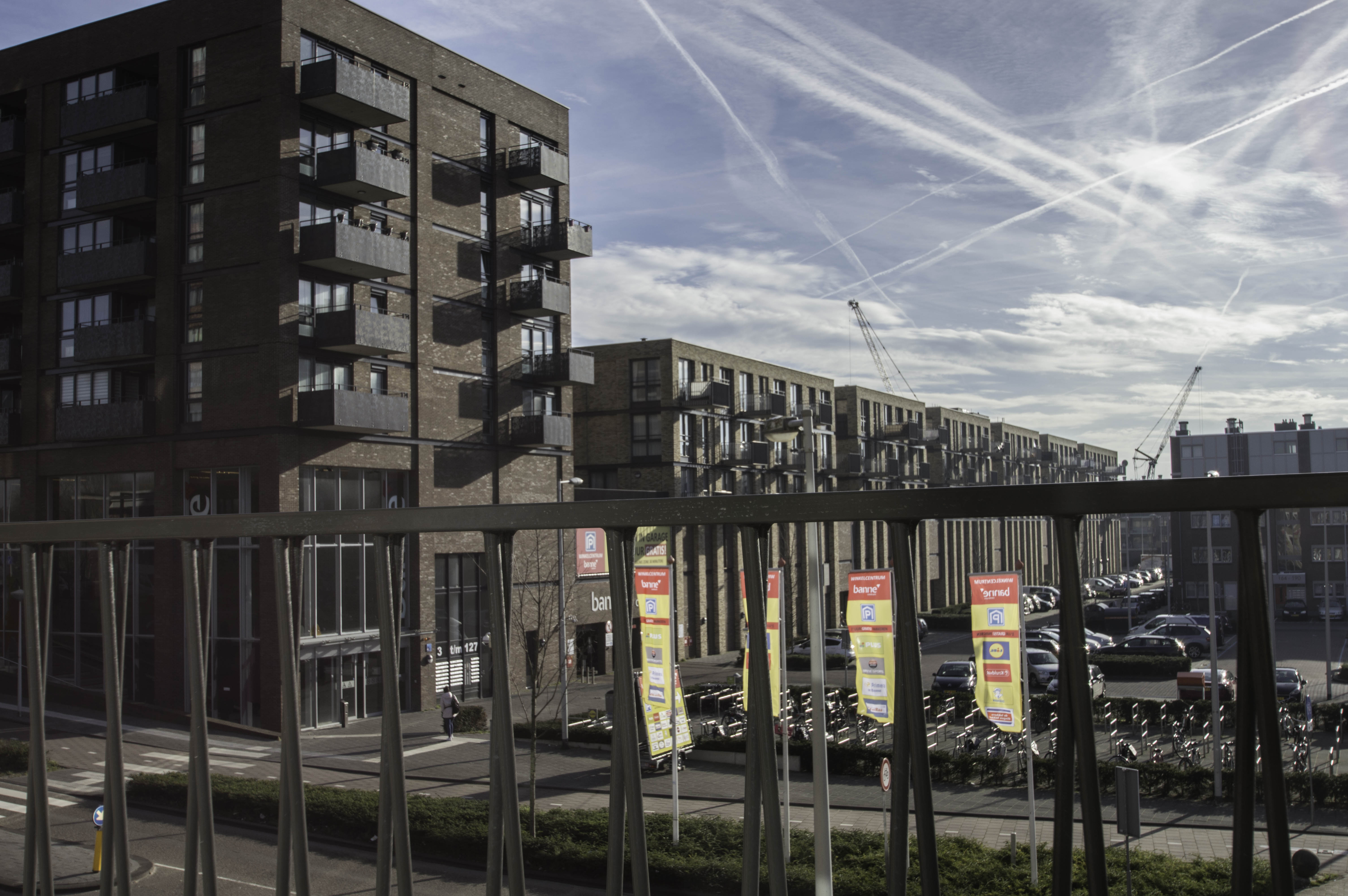 Noord, Amsterdam photo 7