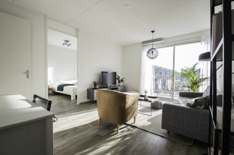 Noord, Amsterdam