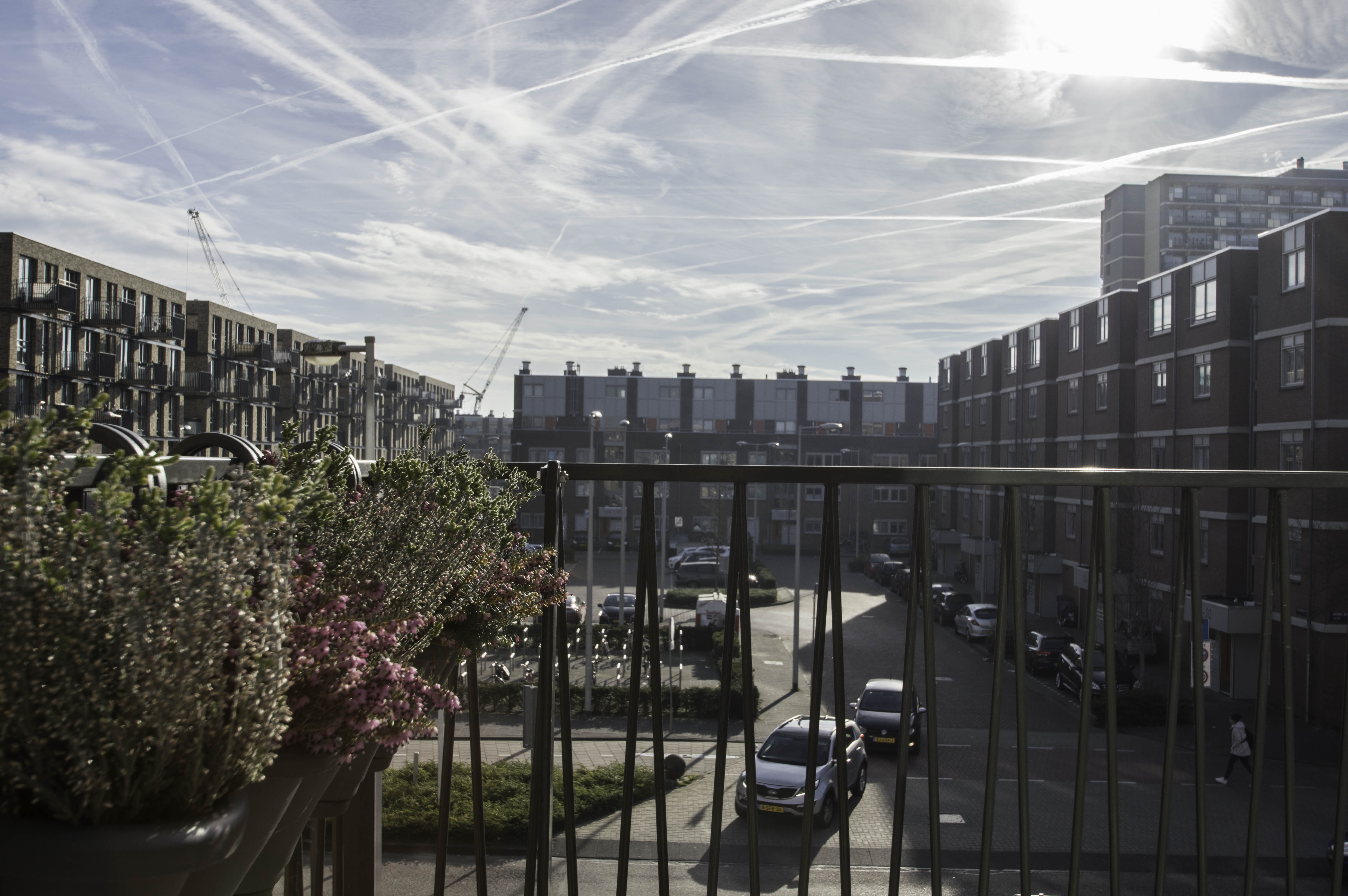 Noord, Amsterdam photo 6